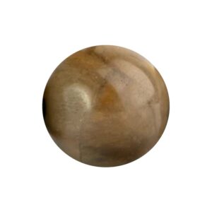 TIGRÉ MARRON : Bois fossile