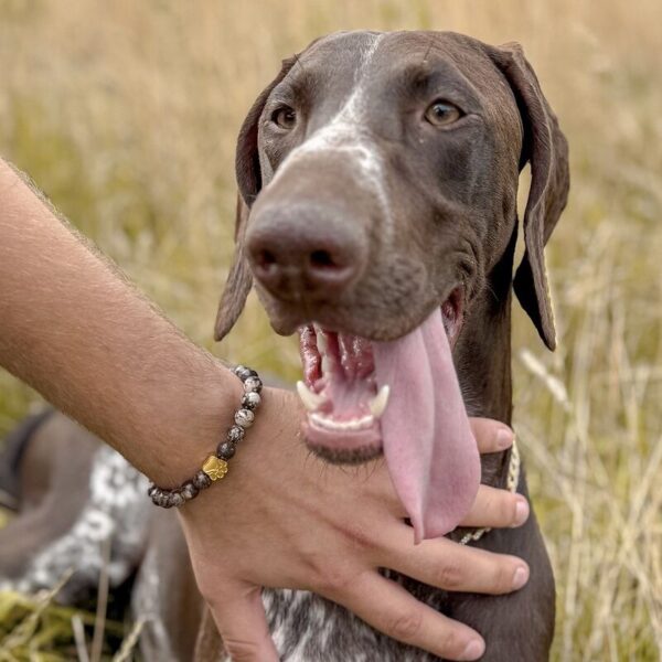 Bracelet personnalisé animaux – Image 3